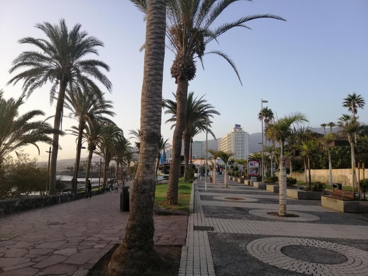 Сozy Apartment In Las Americas Playa Feñabe Екстериор снимка